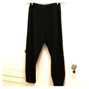 Aritzia Babaton fashion pant